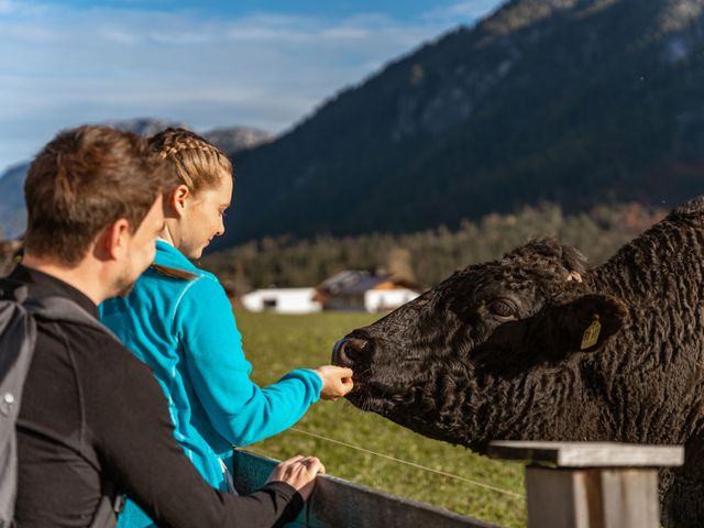Landhaus Tirolerherz