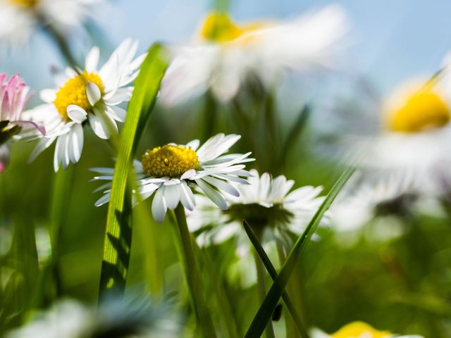 Ferienwohnungen Waidring